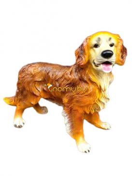 Собака