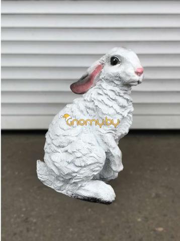 Заяц