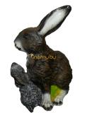 Зайчики
